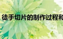 徒手切片的制作过程和注意事项（徒手切片）