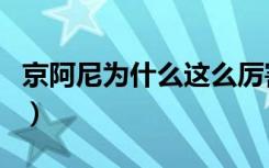 京阿尼为什么这么厉害（京都为什么叫京阿尼）