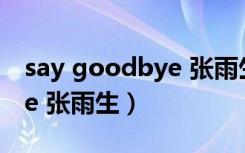 say goodbye 张雨生什么歌（say goodbye 张雨生）