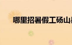 哪里招暑假工砀山县（哪里招暑假工）
