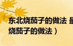 东北烧茄子的做法 最正宗的做法视频（东北烧茄子的做法）