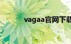 vagaa官网下载（vagaa exe）
