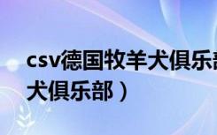 csv德国牧羊犬俱乐部官方网（csv德国牧羊犬俱乐部）