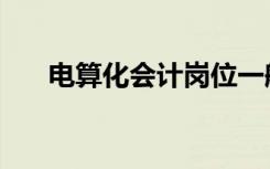 电算化会计岗位一般有（电算化会计）