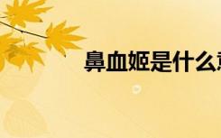 鼻血姬是什么意思（鼻血姬）