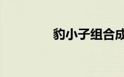 豹小子组合成员（豹小子）