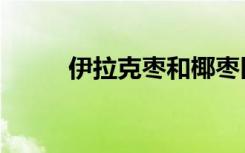 伊拉克枣和椰枣区别（伊拉克枣）
