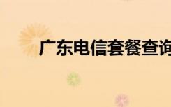 广东电信套餐查询（广东电信套餐）