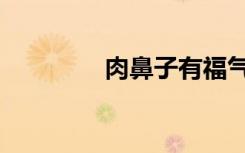 肉鼻子有福气吗（肉鼻子）