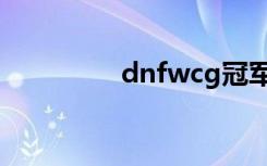 dnfwcg冠军（dnfwcg）