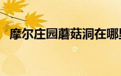 摩尔庄园蘑菇洞在哪里（摩尔庄园蘑菇洞）