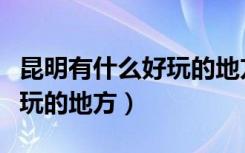 昆明有什么好玩的地方排行榜（昆明有什么好玩的地方）