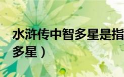 水浒传中智多星是指哪一个人物（水浒q传智多星）