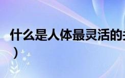 什么是人体最灵活的关节（人体最灵活的关节）