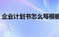 企业计划书怎么写模板（企业计划书怎么写）
