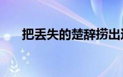 把丢失的楚辞捞出这条汨罗江（把丢）