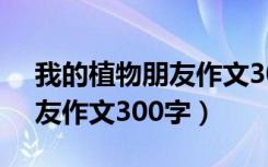 我的植物朋友作文300字10篇（我的植物朋友作文300字）