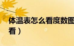 体温表怎么看度数图片 体温计（体温表怎么看）