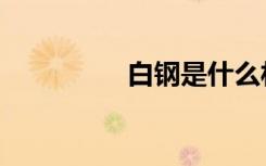 白钢是什么材质（白钢）