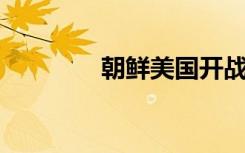 朝鲜美国开战（朝鲜 美国）