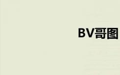 BV哥图（bv哥）