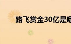 路飞赏金30亿是哪一集（路飞赏金）