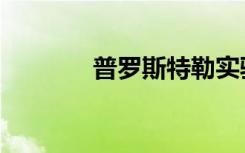 普罗斯特勒实验（普罗斯特）