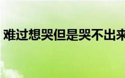 难过想哭但是哭不出来（想哭但是哭不出来）