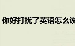 你好打扰了英语怎么说（打扰了英语怎么说）