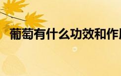 葡萄有什么功效和作用（葡萄有什么功效）