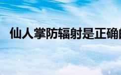 仙人掌防辐射是正确的吗（仙人掌防辐射）