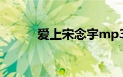 爱上宋念宇mp3（爱上 宋念宇）