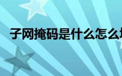 子网掩码是什么怎么填（子网掩码是什么）