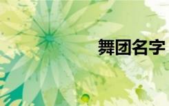 舞团名字（舞团名）