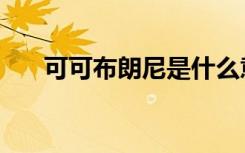 可可布朗尼是什么意思（可可布朗尼）