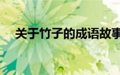 关于竹子的成语故事（关于竹子的成语）