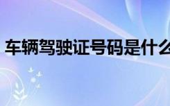 车辆驾驶证号码是什么（驾驶证号码是什么）