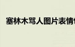 塞林木骂人图片表情包（塞林木骂人图片）