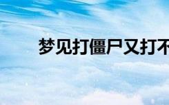 梦见打僵尸又打不死（梦见打僵尸）