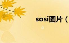 sosi图片（soso图片）