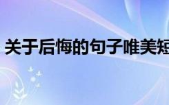 关于后悔的句子唯美短句（关于后悔的句子）