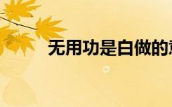 无用功是白做的意思吗（无用功）