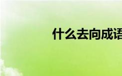 什么去向成语（什么去向）