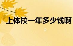 上体校一年多少钱啊（上体校一年多少钱）