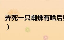 弄死一只蜘蛛有啥后果（家里的蜘蛛怎么消灭）