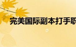 完美国际副本打手职业（完美国际副本）