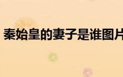 秦始皇的妻子是谁图片（秦始皇的妻子是谁）