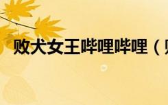 败犬女王哔哩哔哩（败犬女王是什么意思）