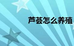 芦荟怎么养殖（芦荟怎么养）