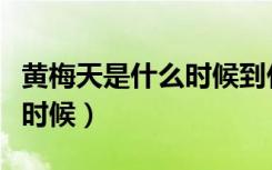 黄梅天是什么时候到什么时候（黄梅天是什么时候）